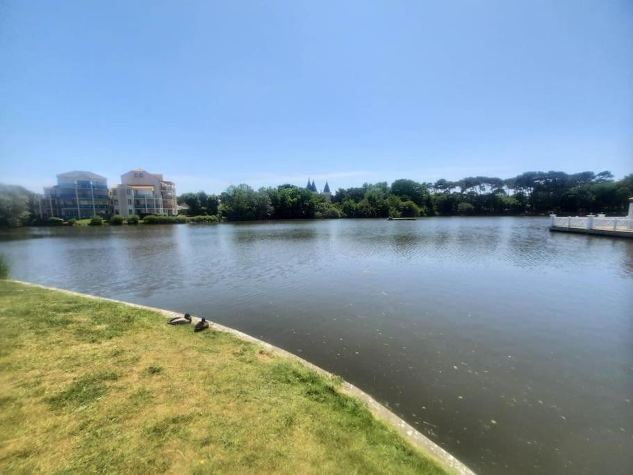 Studio 4 Pers / Terrasse / Espace Aquatique Talmont-Saint-Hilaire المظهر الخارجي الصورة